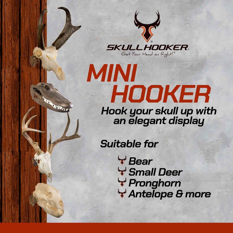 Skull Hooker Mini Hooker Skull Hanger - Perfect Kit for Hanging and Mounting Taxidermy Bear, Small Deer, Pronghorn, and Other Smaller Skulls for Display, Graphite Black - Image 3